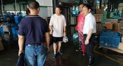 眾志成城戰“煙花” 風雨過后見彩虹