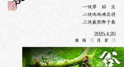 今日谷雨